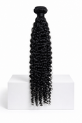 Burmese Curly (Premium Collection)