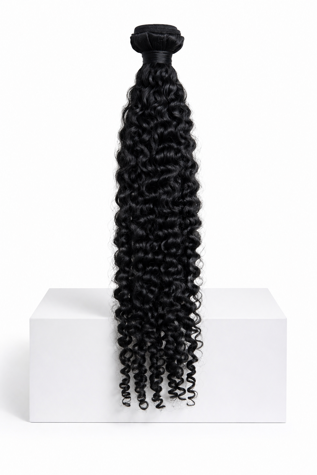 Burmese Curly (Premium Collection)