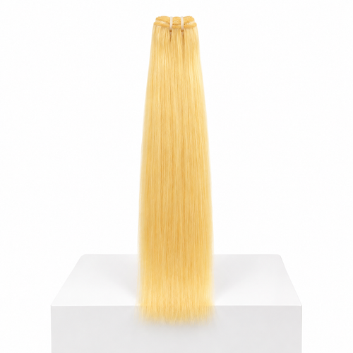 613 Blonde Bundle Deal 24” + 2x6 Closure